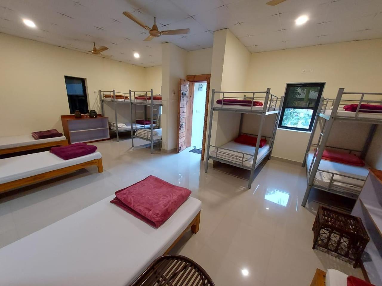 Tadoba Tiger Valley Resort Tadoba Mohurli Exteriör bild